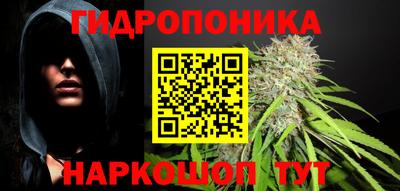 прущие грибы Краснокаменск