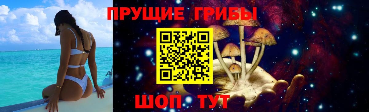 Кировск  Галлюциногенные грибы GOLDEN TEACHER  Вход с VPN 